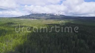 山顶积雪覆盖茂密的绿色森林和高山。 剪辑。 山坡上茂密的森林，山顶白雪皑皑